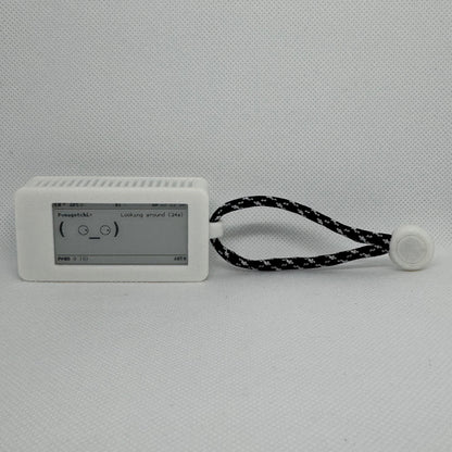 Pwnagotchi - Multiple Color Options