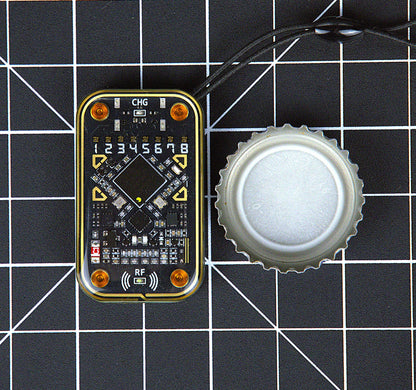 Chameleon Ultra (RFID and NFC Cloner)